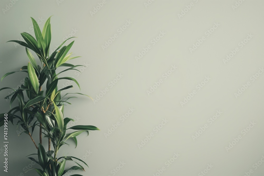 Fototapeta premium quiet room corner with a plant, simple wall behind for copy