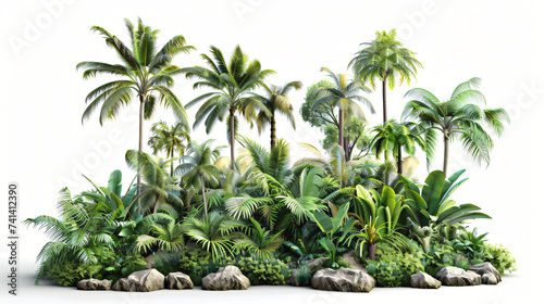 Tropical forest isolated on a white background.
