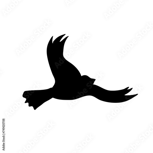 Single Flying Bird Silhouette