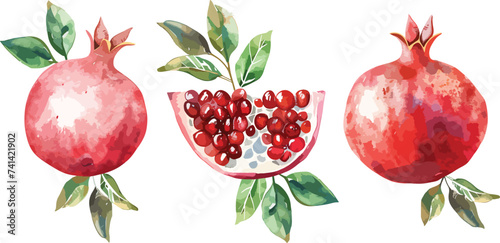Pomegranate fruit vector set whole and half and green leaves. Watercolor hand drawn illustration isolated on white background