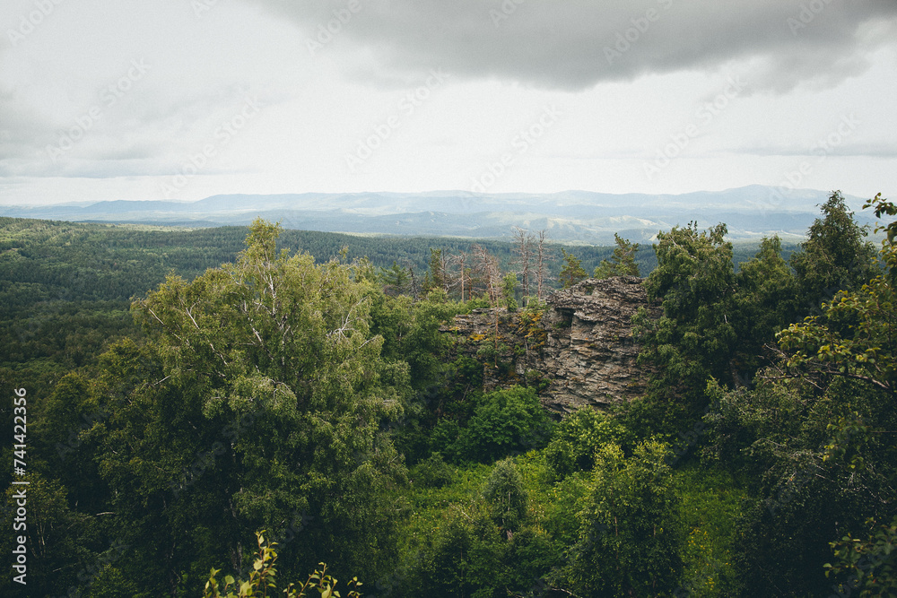 Fototapeta premium Cloudy sky over forest with mountains in background