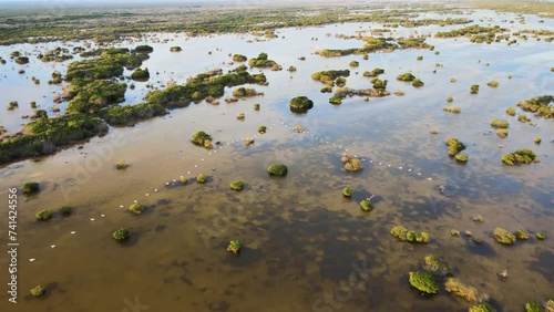 Aerial view of Telchac Beach with pristine mangrove ecosystem and peaceful ocean, Yucatan, Mexico. photo