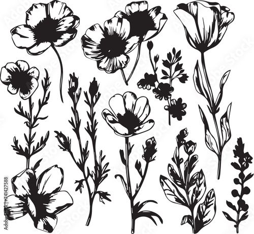 Set Flowers. Hand drawn vector illustration 