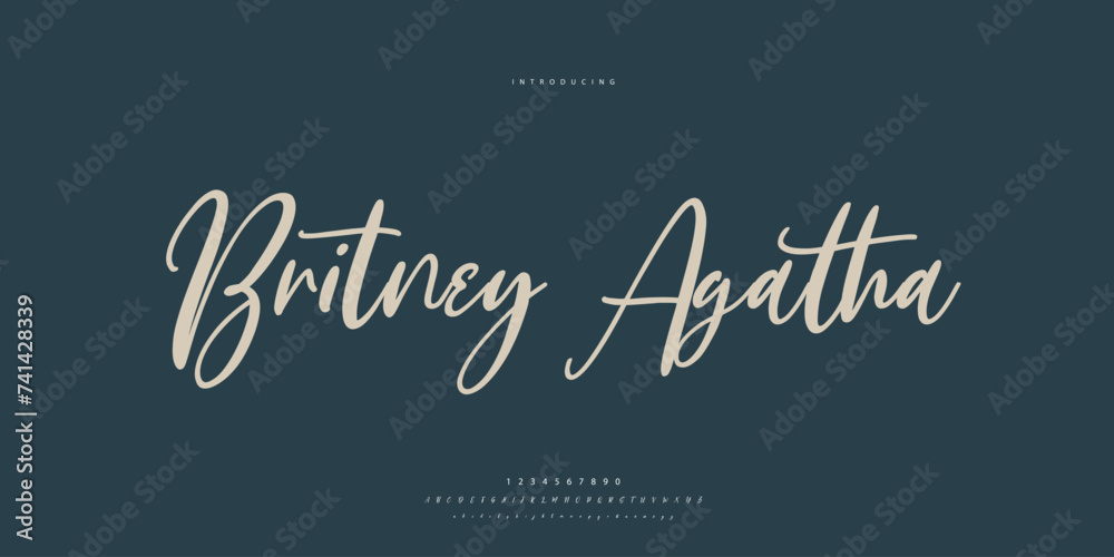 signature Font Calligraphy Logotype Script Brush Font Type Font lettering handwritten	