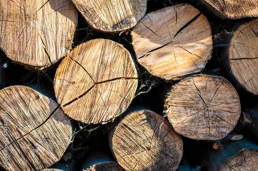 Naklejka premium stack of chopped fire wood