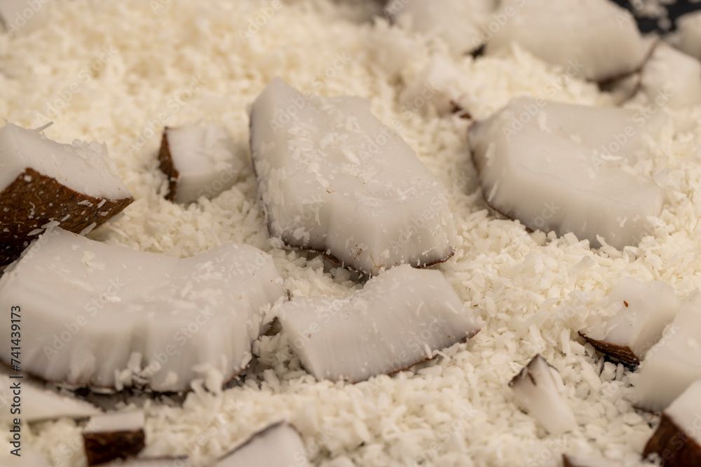 white coconut pulp and dried coconut flakes white coconut pulp and dried coconut flakes