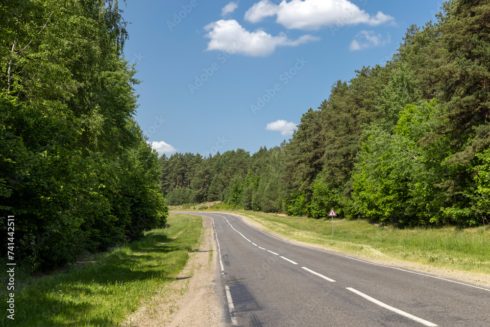 paved road with trees in the forest in sunny weather paved road with trees in the forest in sunny weather