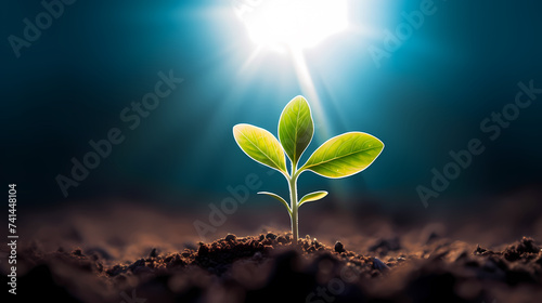 Green saplings sprout creative entrepreneurial investment success © ma