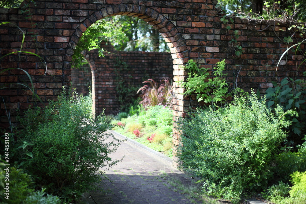 煉瓦のアーチのある庭園と夏の植物　