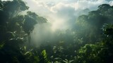 Aerial View of Misty Jungle Rainforest