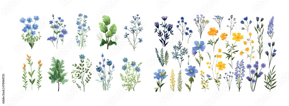 Elegant Collection of Colorful Wildflowers and Plants: A Vibrant Display of Nature’s Diversity in Detailed Vector