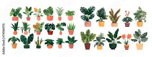 Vibrant Collection of Potted Indoor Plants Illustration - A Variety of Greenery for Home and Office