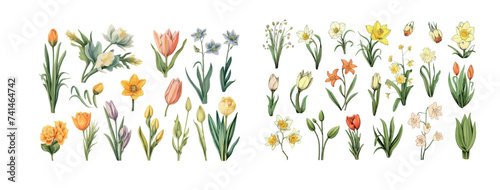 Exquisite Collection of Spring Flowers in Full Bloom: A Vibrant Display of Nature’s Reawakening and Diversity in Detailed Vector