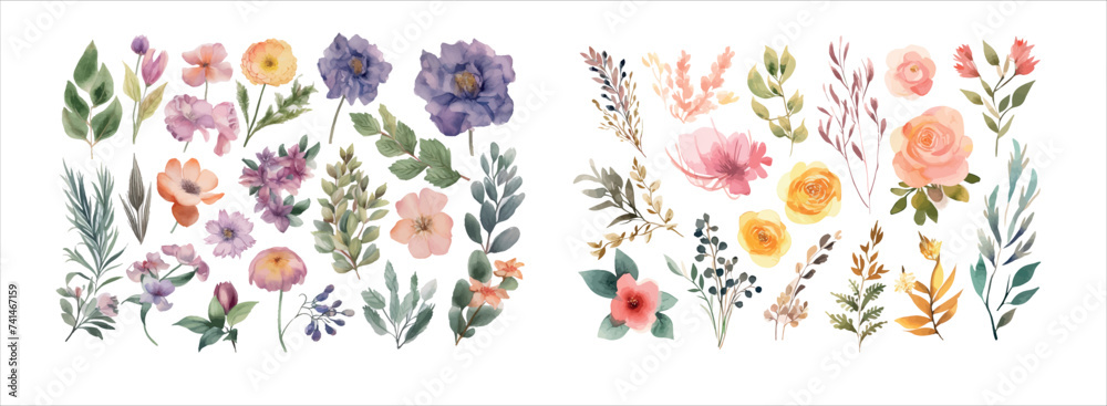 Watercolor floral illustration set.  Decorative flower elements template. Flat cartoon illustration isolated on white background