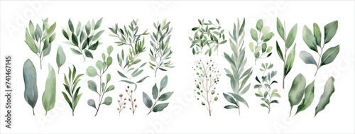 Elegant Collection of Hand-Painted Watercolor Flowers and Lush Green Leaves, Perfect for Invitations, Decorations, and Art