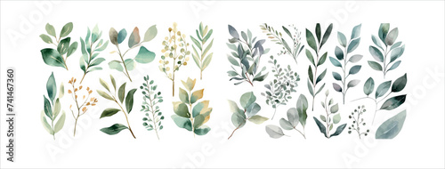 Elegant Collection of Watercolor Greenery and Foliage Elements, Perfect for Invitations, Decorations, and Art