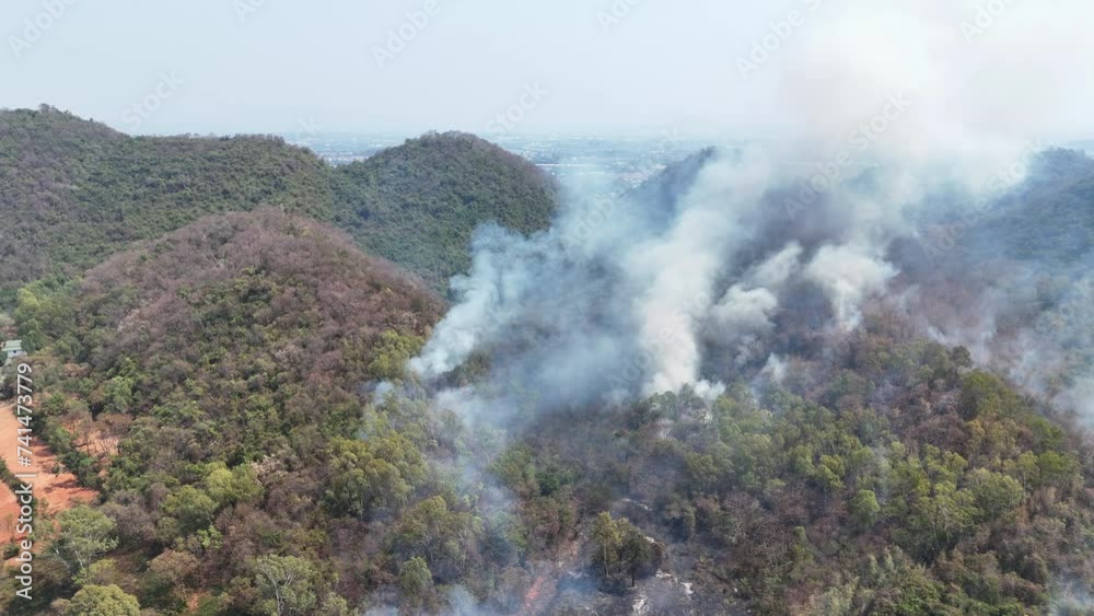 Wildfires or forest fire burning with a lot of smoke with Particulate ...