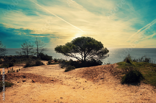 The Atlantic Ocean coast near Praia dos Arrifes beach, Albufeira, Portugal