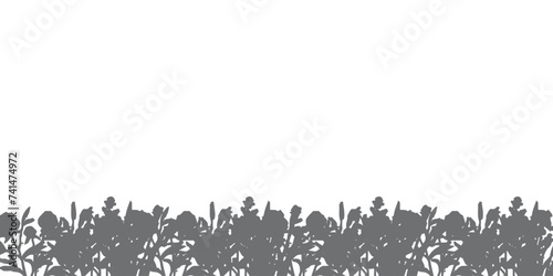 Silhouette of grass with reeds and flowers in spring. Wetland vector illustration with transparent background