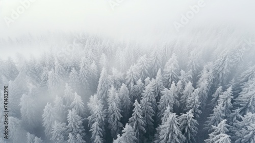 Aerial view of a snowy forest, perfect for winter themes