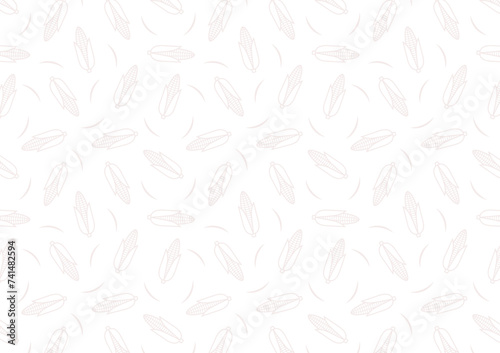 White corn pattern background. Fresh white corn isolated on white background.