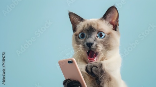Siamese Cat Excitedly Viewing Smartphone in Post-Internet Style photo