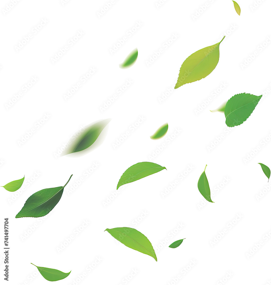 Leaves falling in the air isolated on transparent background. PNG
