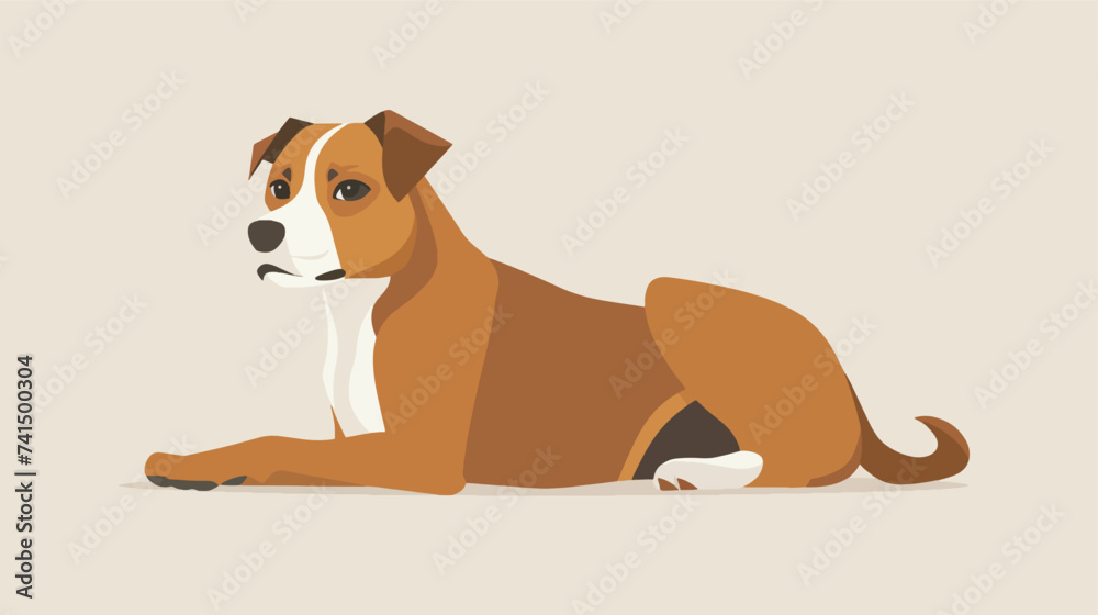 Pet Animal flat vector isolated on color background