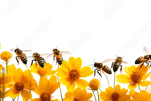 Bee Queue for Nectar Isolated on Transparent Background photo