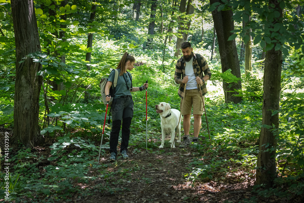 Fototapeta premium City escape. Young man and woman with their pet dog walking in the nature. Nature lovers couple hiking in the woodland with tall green trees and exploring park. Weekend activities simple living
