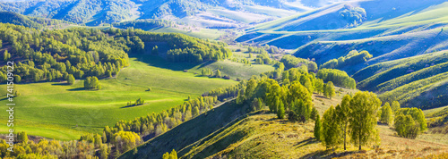 Green meadows and forests. spring, evening light, hilly countryside, banner