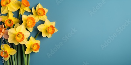Spring bouquet of yellow daffodils on a blue background © zunaira