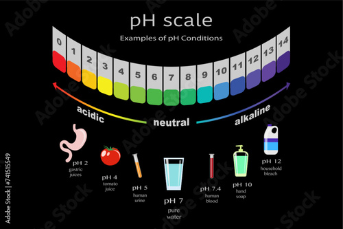 scale of ph value for acid and alkaline solutions, infographic acid-base balance. scale for chemical analysis acid base. Examples of pH conditions, vector illustration isolated or black background