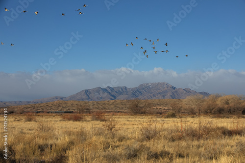 Contrasting concepts of nature and civilization visible in destination scenic of mountains, birds, and railroad train taken at Bernardo Wildlife Area in New Mexico, United States photo