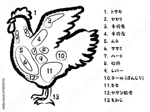 鶏肉の部位のイラスト