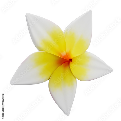 3D Tropical Flower Plumeria Rubra for Summer with Transparent Background