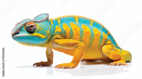 Yellow blue lizard Panther chameleon isolated on white