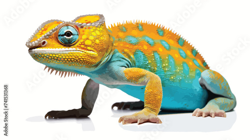 Yellow blue lizard Panther chameleon isolated on white photo