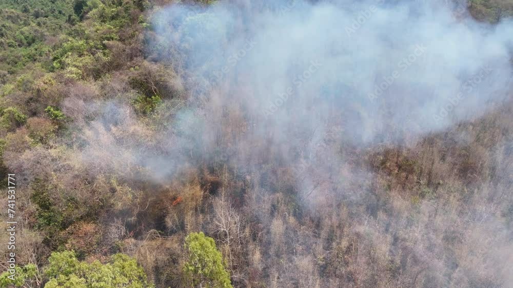 Wildfires or forest fire burning with a lot of smoke with Particulate