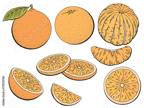 Orange fruit graphic color isolated sketch illustration vector 