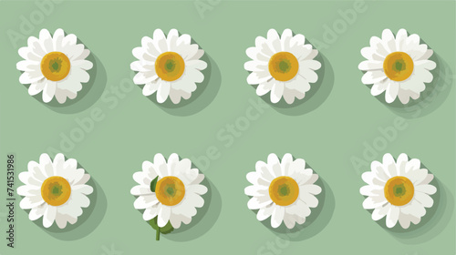 Camomile icon set. White daisy chamomile. Cute ro © iclute4