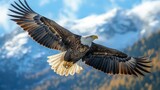 Majestic Bald Eagle in Flight: An awe-inspiring shot of a majestic bald eagle soaring gracefully against a backdrop of clear blue skies