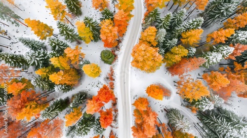 Aerial view of a picturesque curving road through a snow covered winter forest landscape