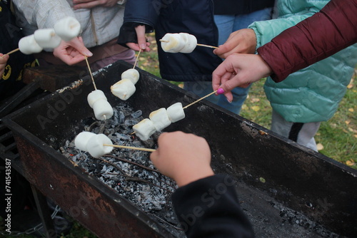 recreation. Women hands and marshmallows on skewers.