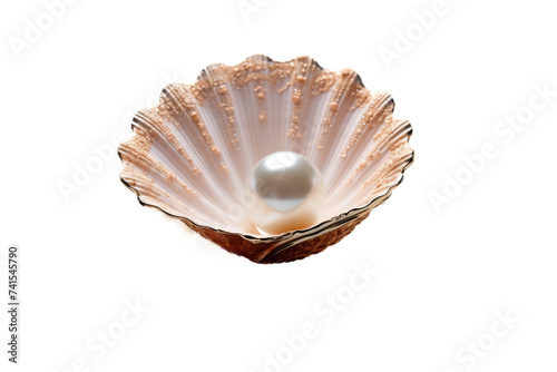 Delicate Seashell with Captured Pearl Isolated on Transparent Background