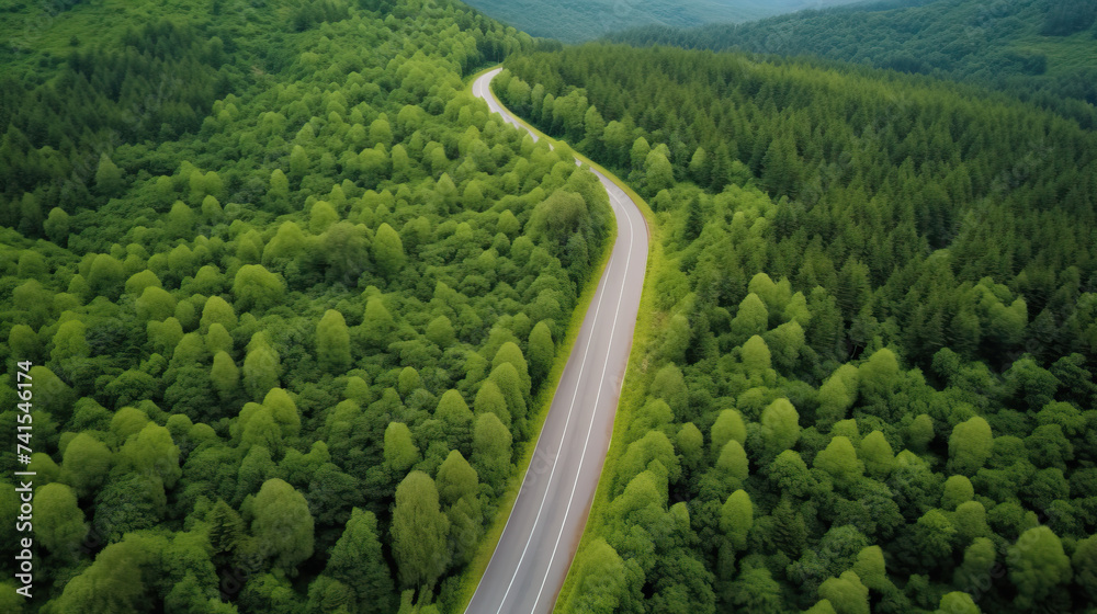 Green Rainforest Aerial View, Drone Shot of Asphalt Road Through Pine Trees Woodland Landscape for Earth Day, natural background Green Rainforest Aerial View, Drone Shot of Asphalt Road Through Pine Trees Woodland Landscape for Earth Day, natural background