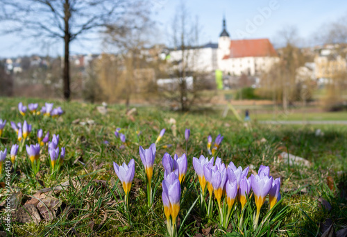 spring in the park in reichenbach im Vogtland, city saxony germany photo