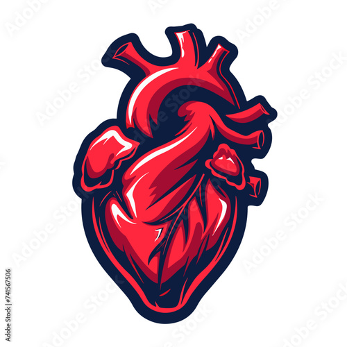 Vector illustration of human heart in cartoon style isolated on white background.