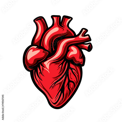Human heart isolated on white background. Vector illustration for your design.