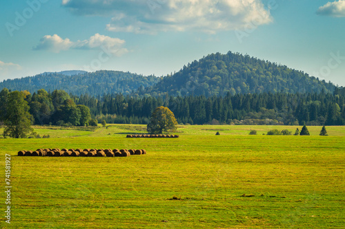Fototapeta Naklejka Na Ścianę i Meble -  Bieszczady mountains landscape, forest hills, bales of hay, hay meadow. Beinowa, close to the border with Ukraine, Subcarpathian Voivodeship, south-eastern Poland. Late summer, golden hour.